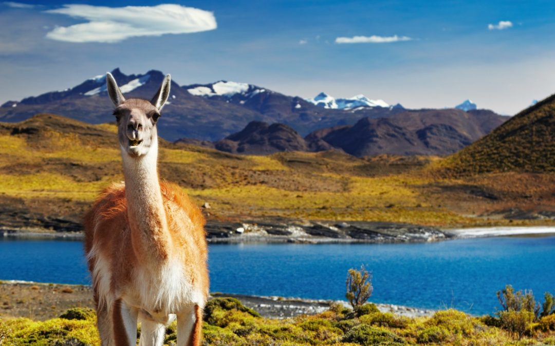 Pretty Peru and Patagonia