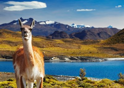 Pretty Peru and Patagonia