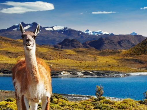 Pretty Peru and Patagonia